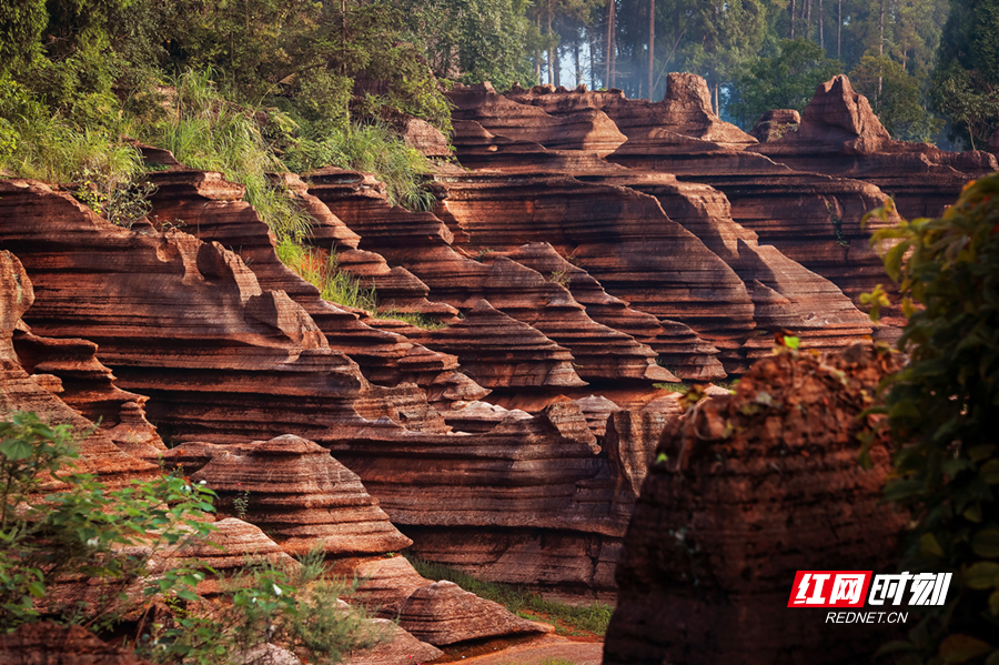 芙蓉镇天气预报在线 芙蓉镇天气预报在线
