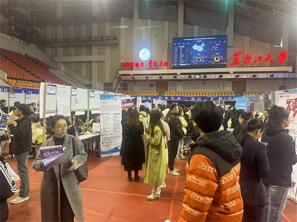 春季双选会AI技术应用_黑龙江大学AI模拟面试系统_黑龙江龙育就业服务有限公司官网